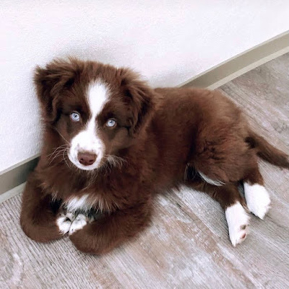 Meet your Posher, The life - Picture 1 of 1